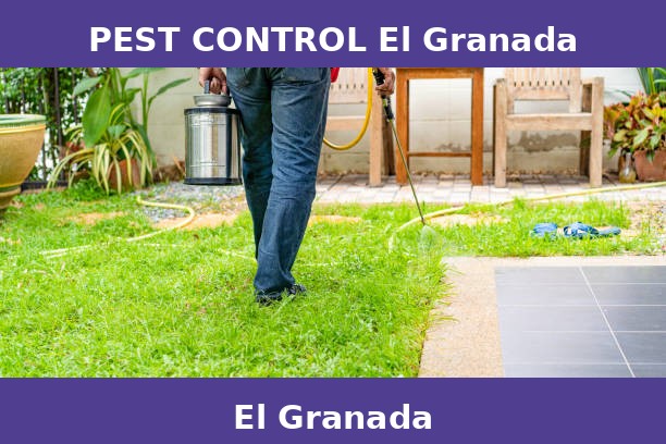 PEST CONTROL El Granada